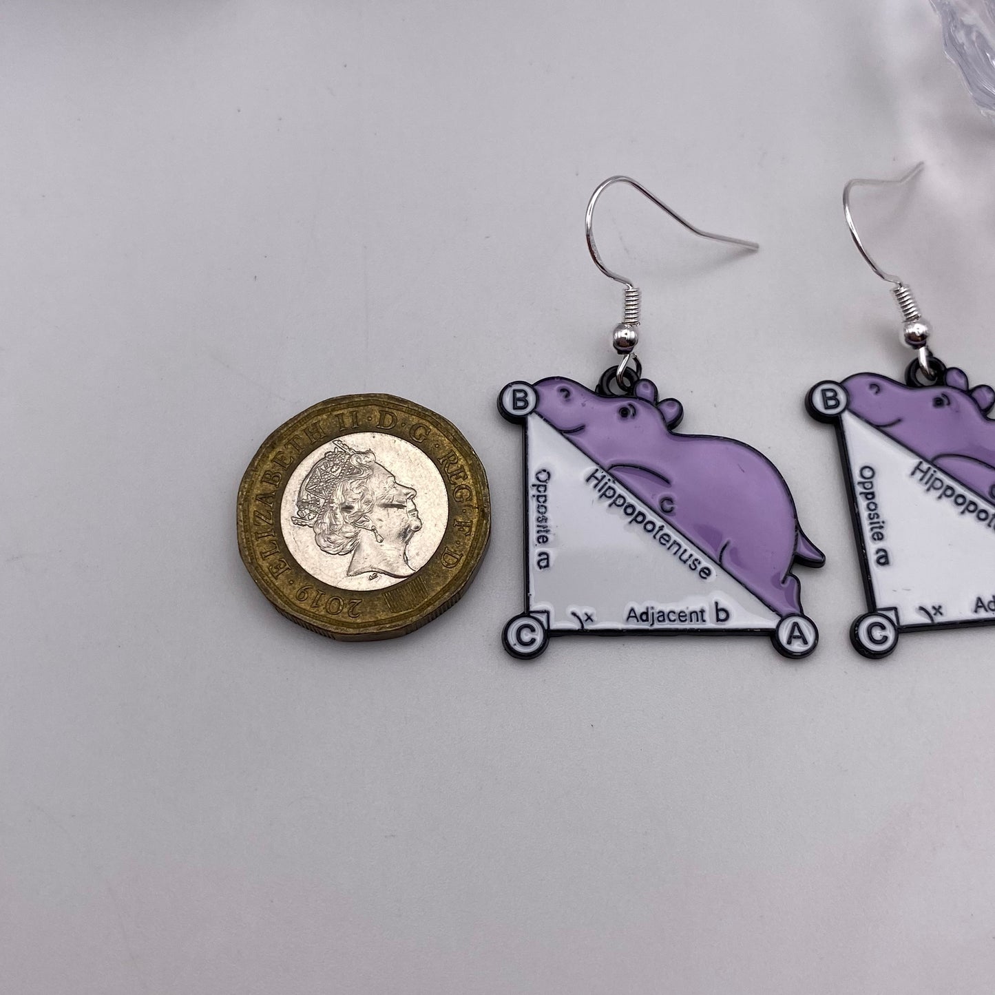 Hippopotenuse Maths Earrings