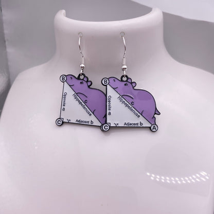 Hippopotenuse Maths Earrings